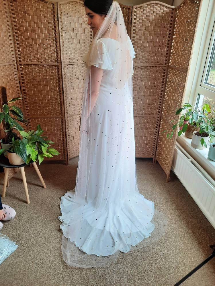 Soft blush & golden pearl veil. Veil with pearls. Classic veil with a twist. 200cm