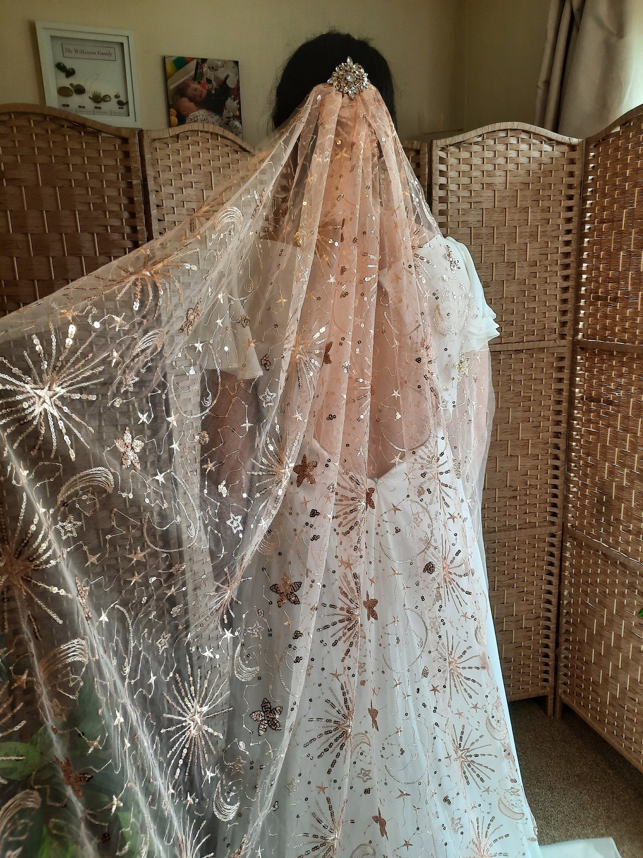 Rose gold celestial veil Star Crossed Lovers in Rose Gold Starry Veil Star Cape Pink Bridal Cover up Sequined Cape